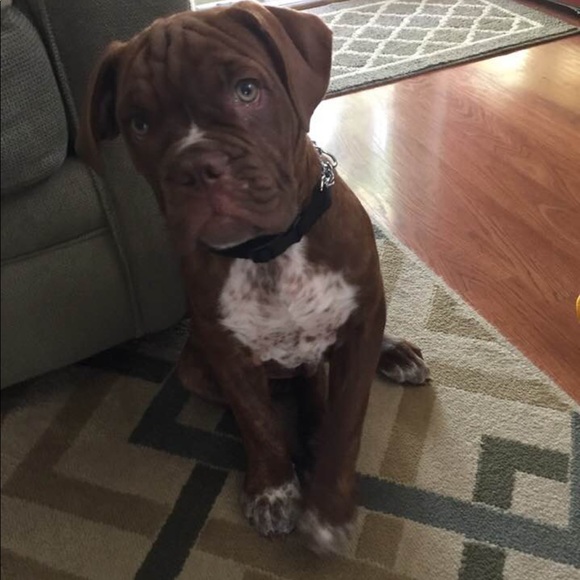 Meet your Posher, John - Picture 2 of 2